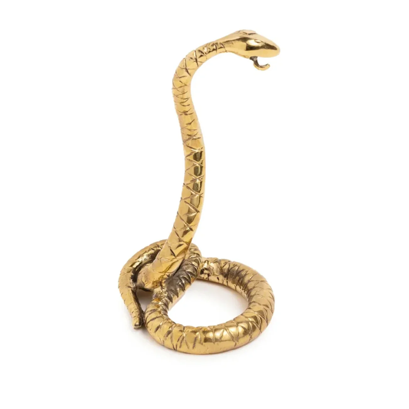 Wholeness | Snake Medallion Holder | Brass