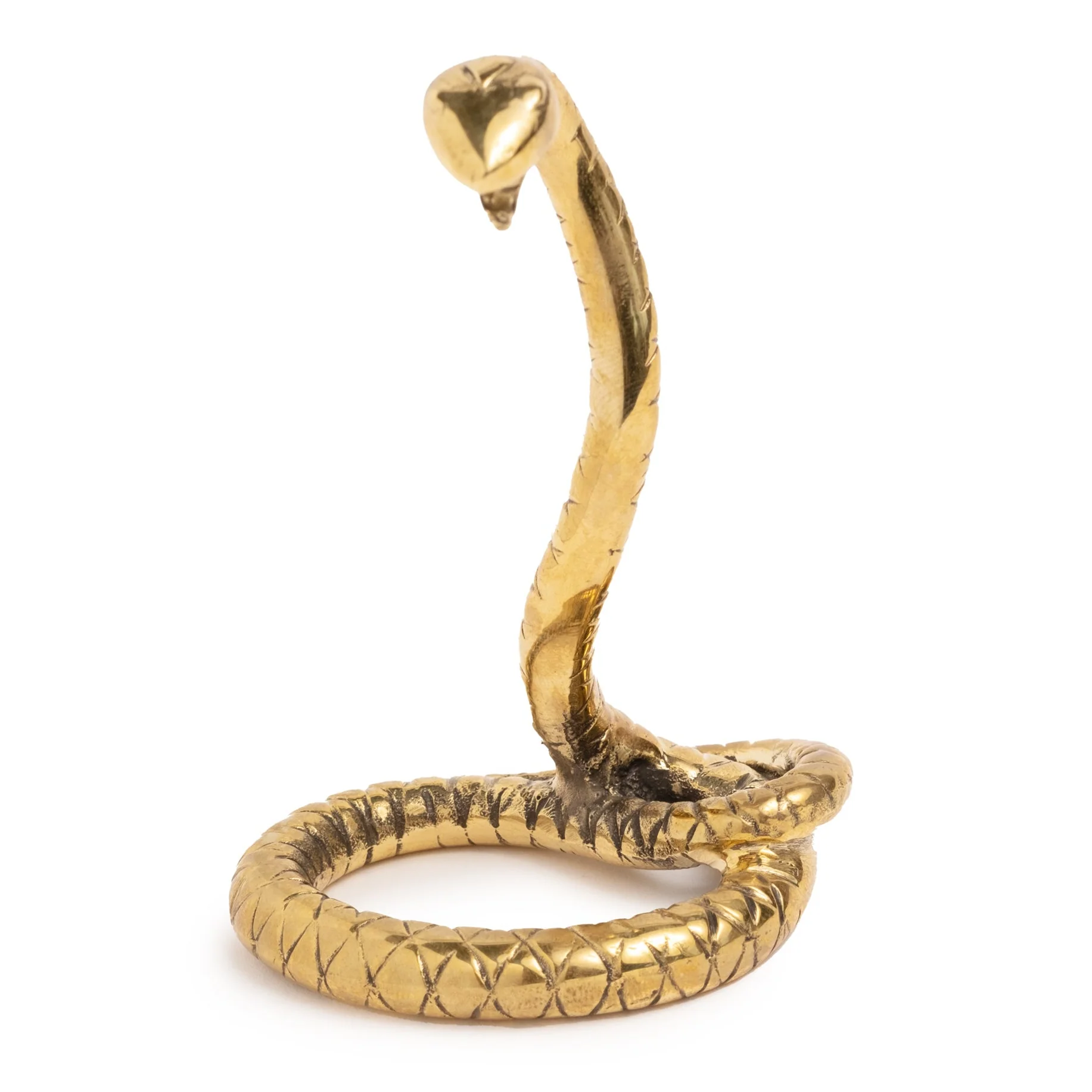 Wholeness | Snake Medallion Holder | Brass - Image 2
